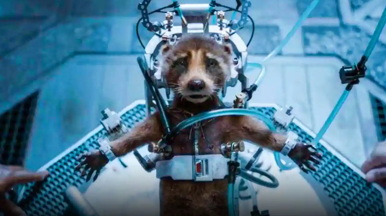 New Guardians of the Galaxy 3 Trailer Reveals Brutal Rocket Scenes