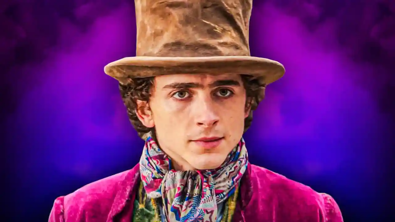 Timothsée Chalamets’s Wonka Gets Release Update Amid Delay Concernss