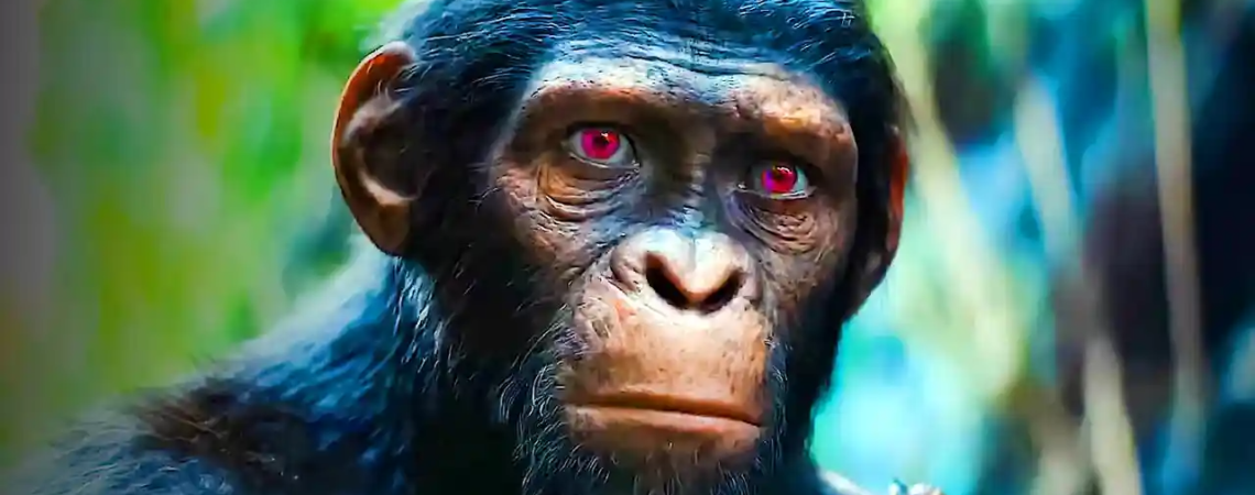 2024 Planet of the Apes Director Confirms What We All Suspected About the New Main Characters’s Storys