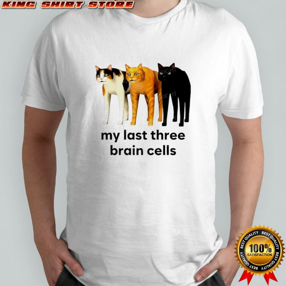 My last three brain cells cats shirt