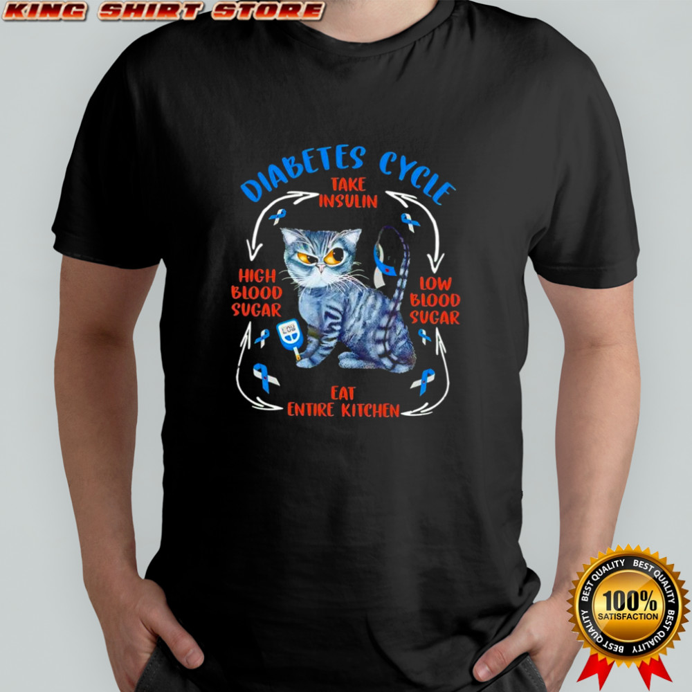 Cat diabetes cycle take insulin low blood sugar high blood sugar eat entire kitchen shirt