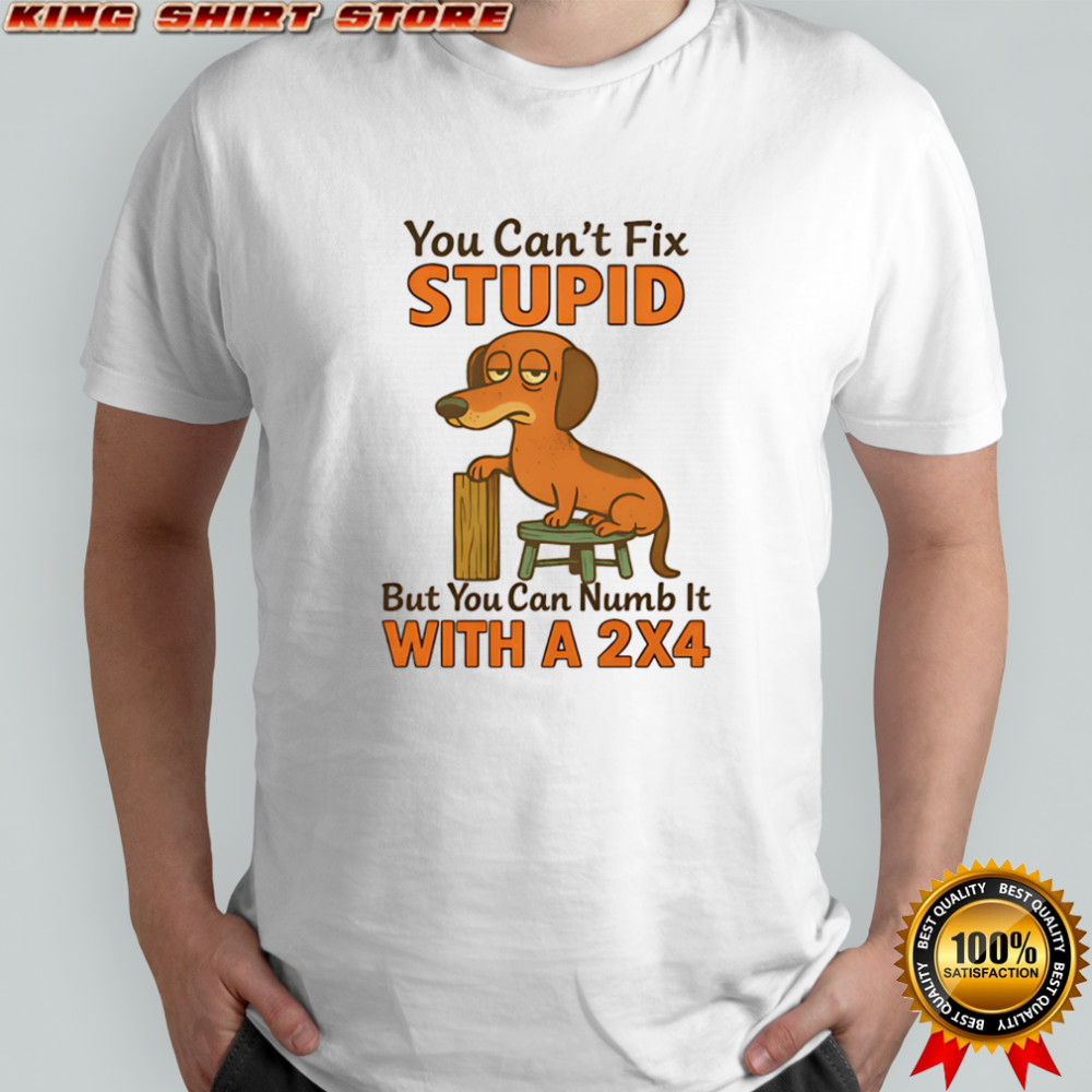 Dachshund you can’t fix stupid but you can numb it with a 2×4 shirt