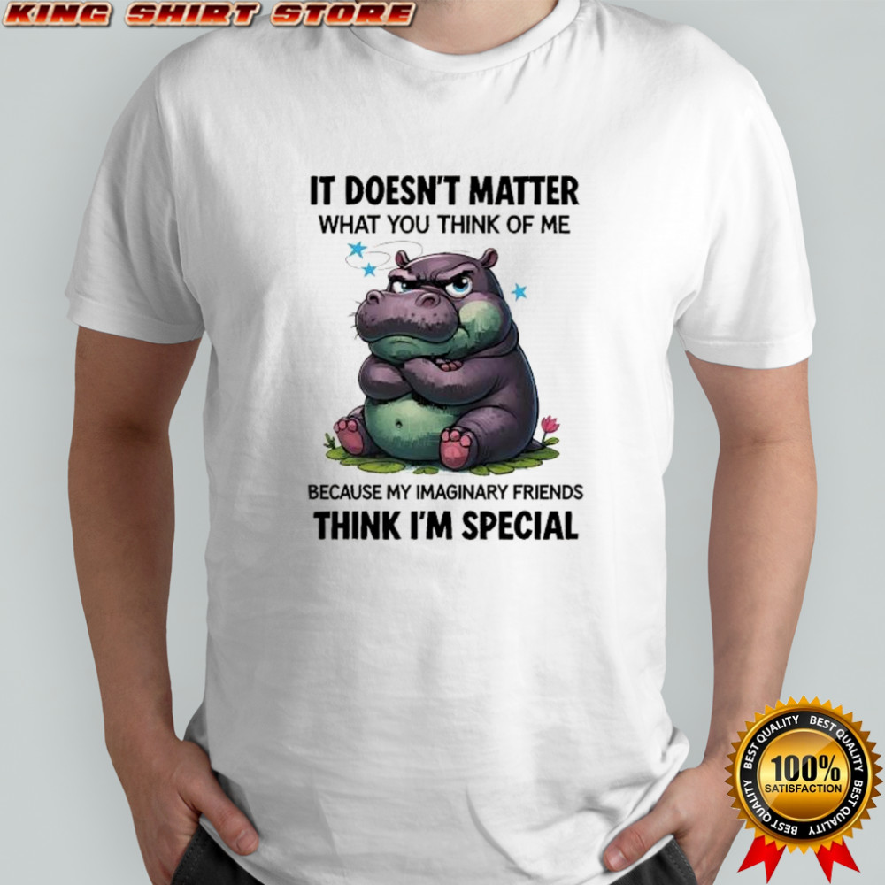 Grumpy Hippo it doesn’t matter what you think of me because my imaginary friends think I’m special shirt