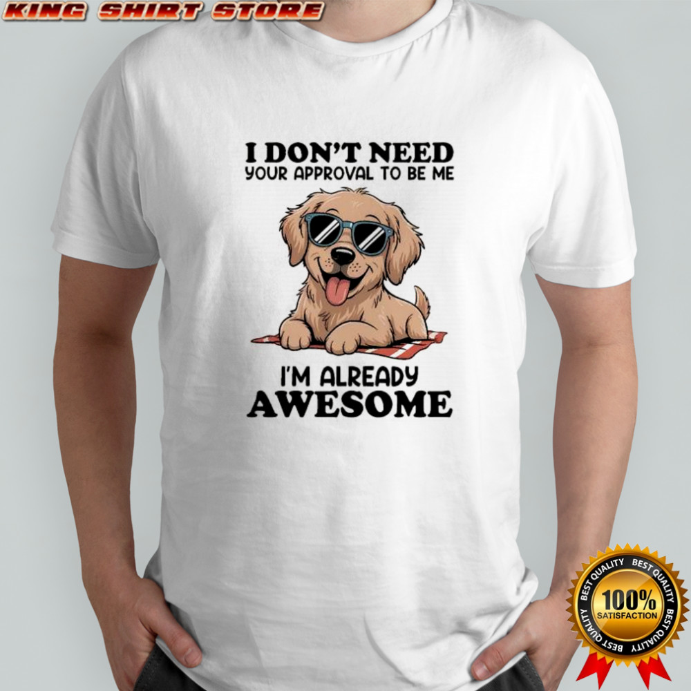 I don’t need your approval to be me I’m already awesome shirt I don’t need your approval to be me I’m already awesome shirt