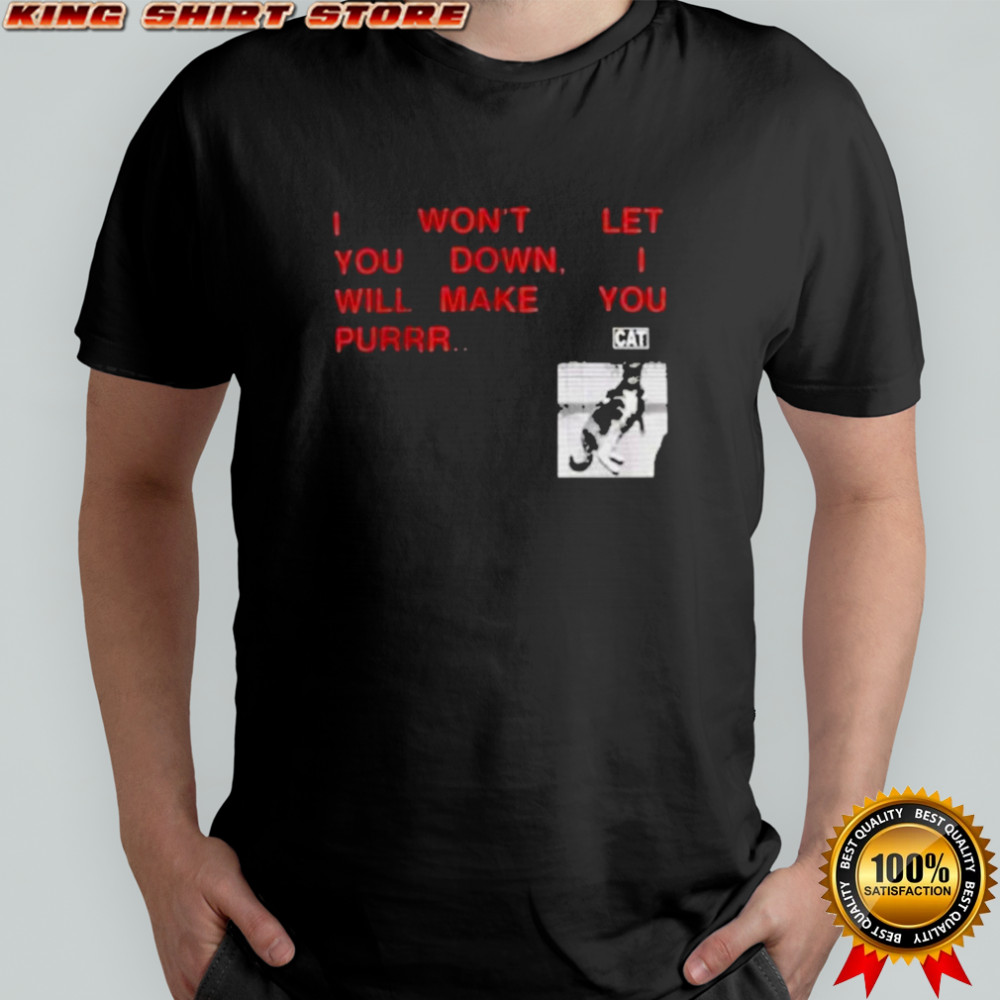 I Won’t Let You Down I Will Make You Purr Cat T-shirt