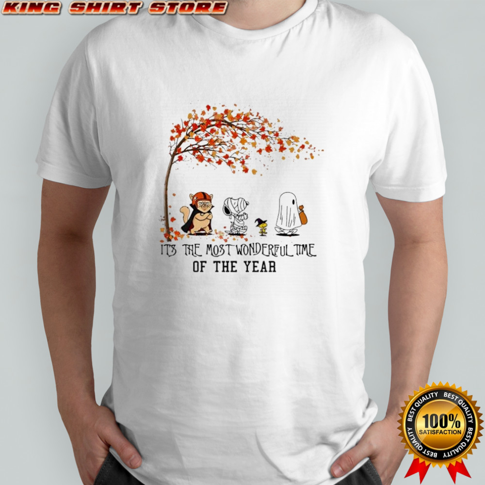 Ohio BGSU Football it’s the most wonderful time of the year shirt