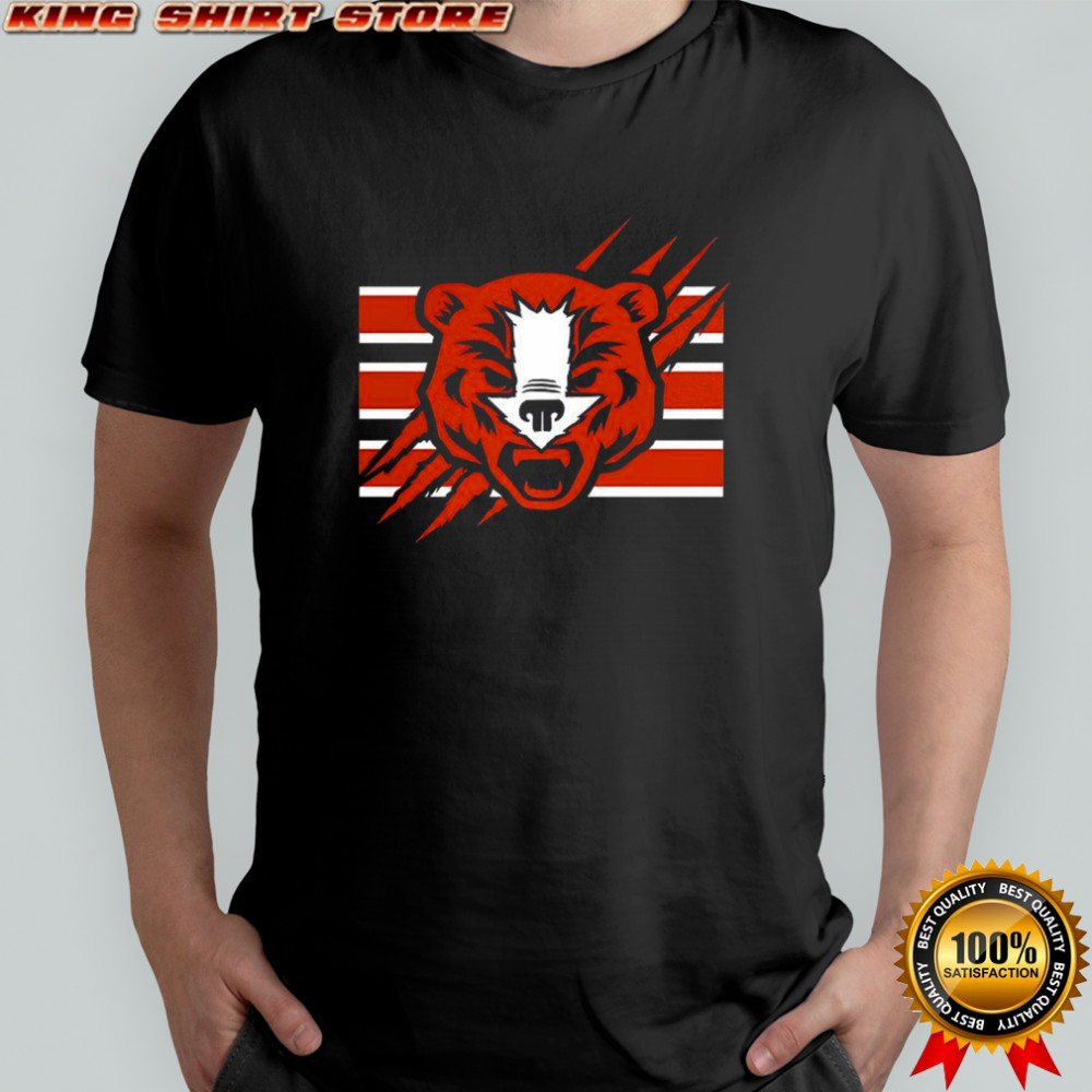 Chicago Bears football logo shirt