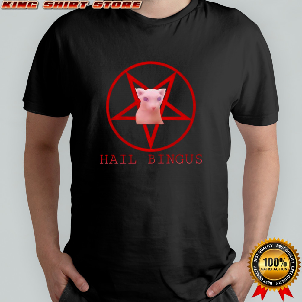 Hail Bingus Schwarz Herren shirt