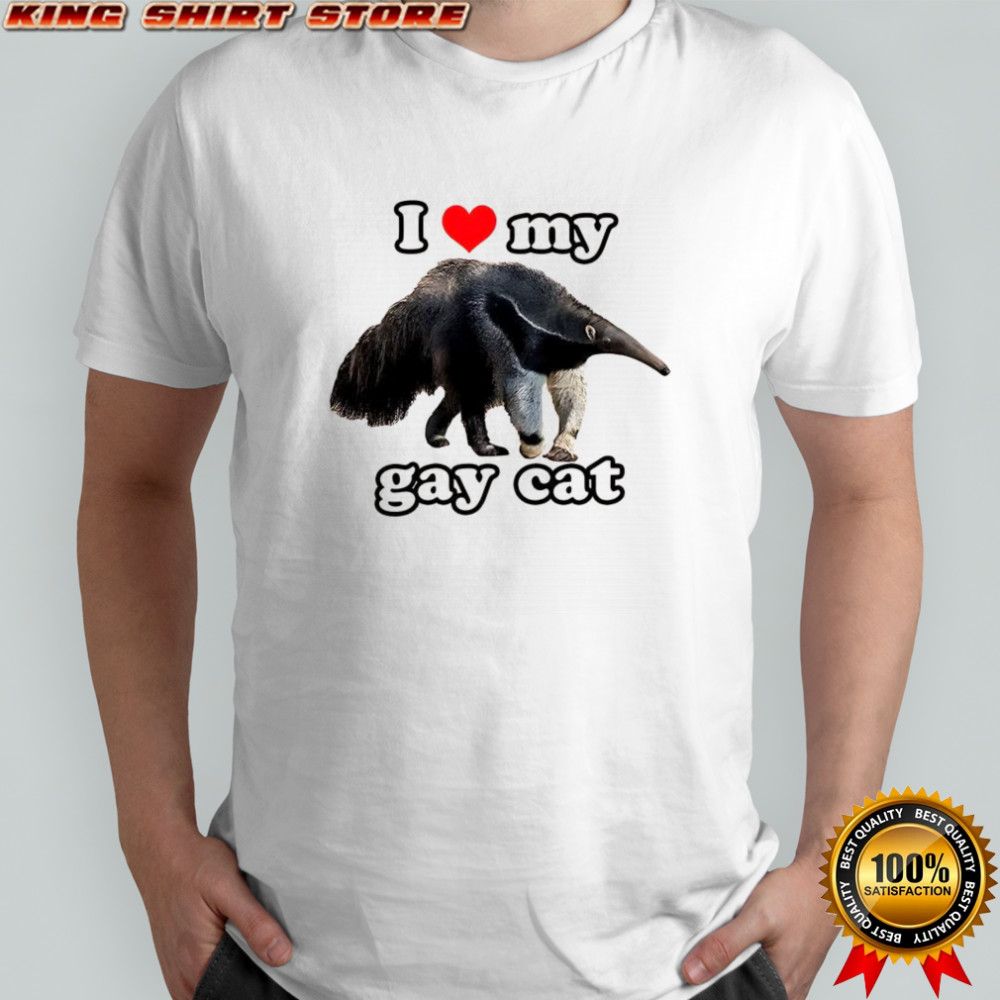 I love my gay cat shirt