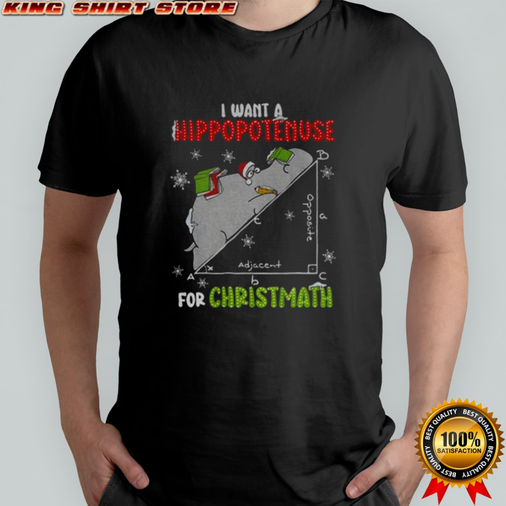 I Want A Hippopotenuse For Christmas Math Lover Hippopotamus shirt