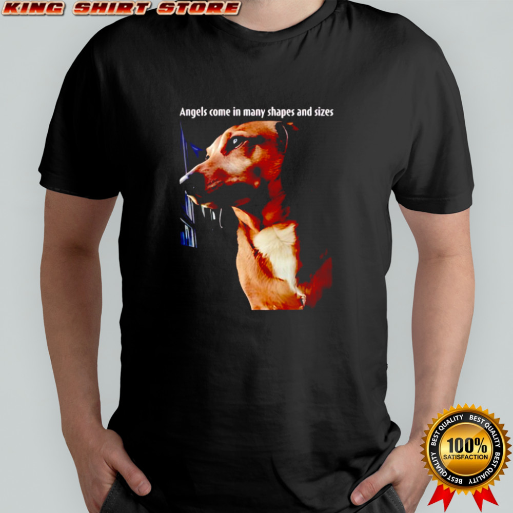 Mark Pellegrino angels come in many shapes and sizes shirt