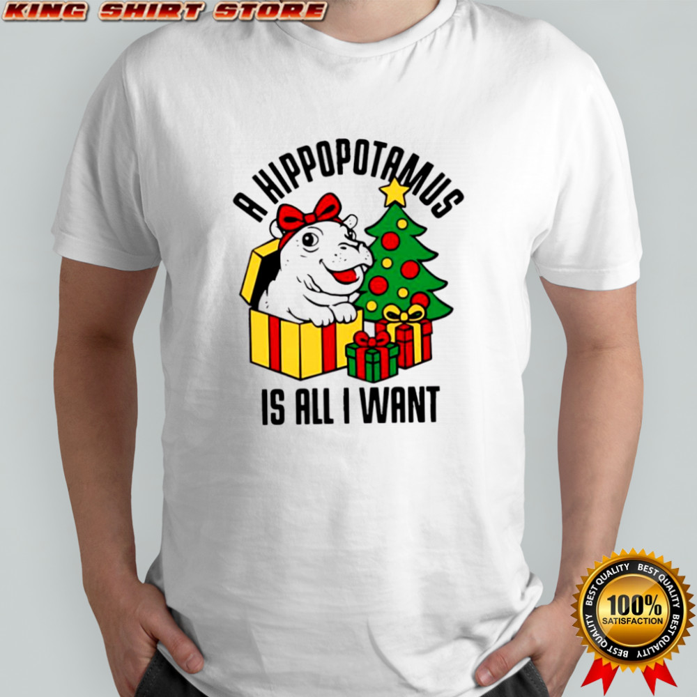 Original A hippopotamus is all I want Christmas shirt