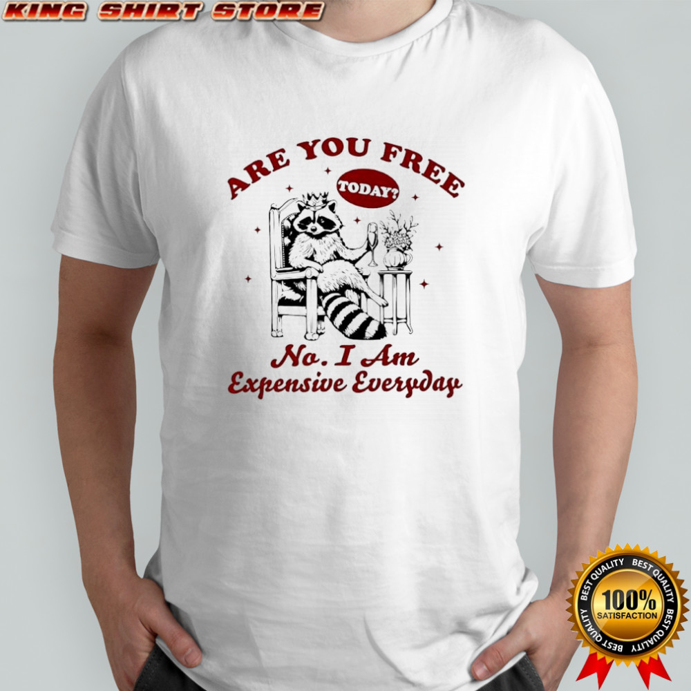 Raccoon Are You Free Today No I Am Expensive Everyday shirt
