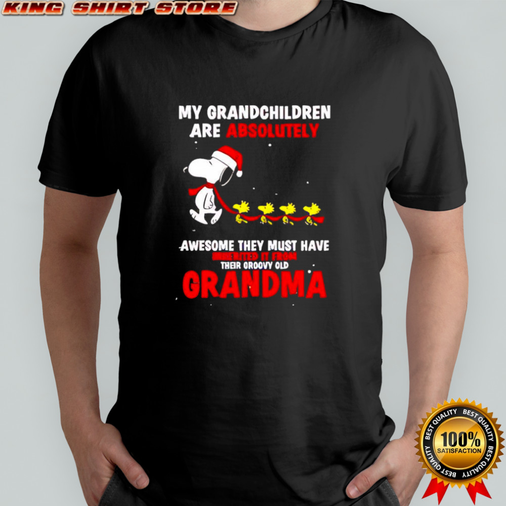 Snoopy Woodstock Santa hats awesome they must have inherited it from their groovy old grandma shirt