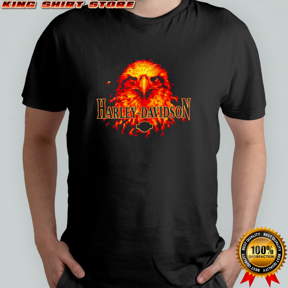 Top Harley Davidson Flaming Bald Eagle shirt