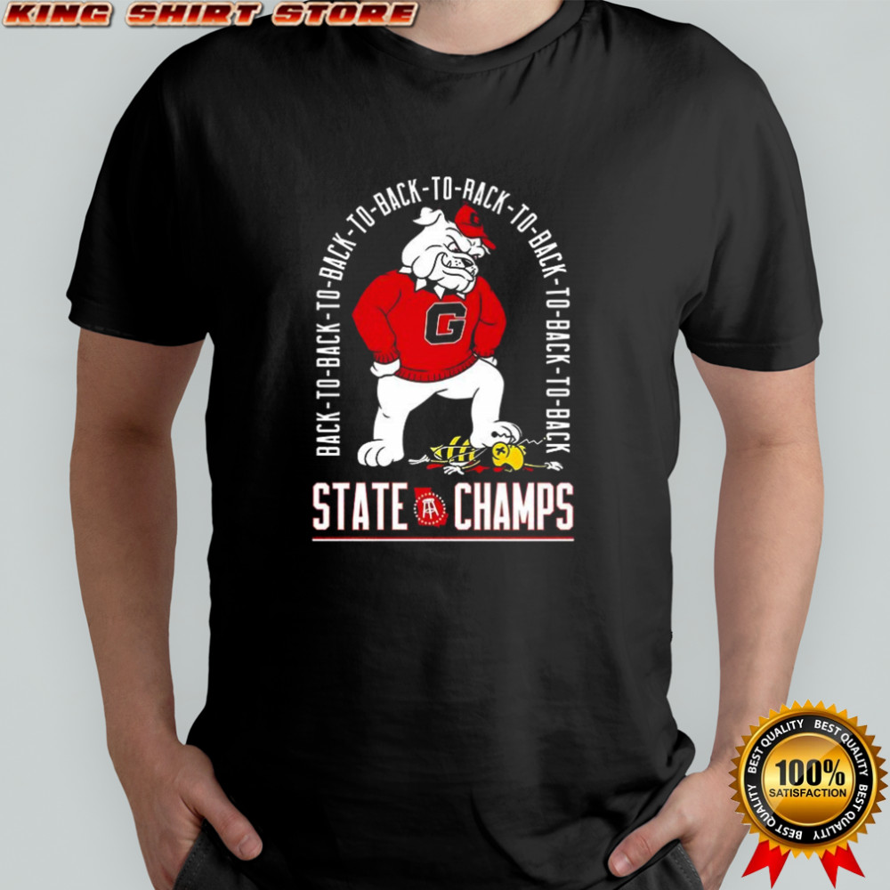 Georgia Bulldogs vs Georgia Tech Yellow Jackets back-to-back State Champs shirt